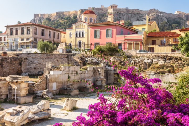 a large stone building with a purple flower